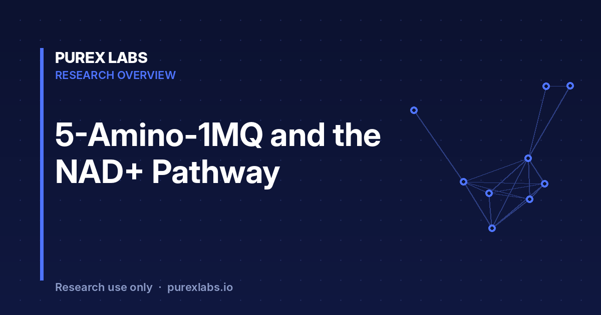 5-Amino-1MQ and the NAD+ pathway – PureX Labs